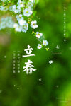 立春