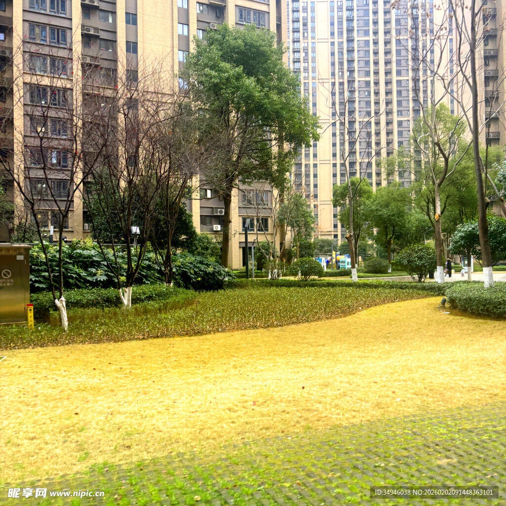 小区内的绿化休闲区域