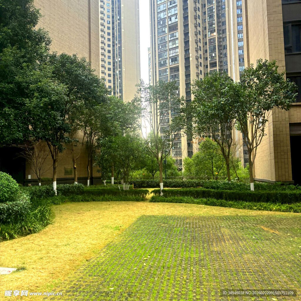 小区内的绿化景观