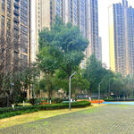 城市中绿意盎然的休闲步道