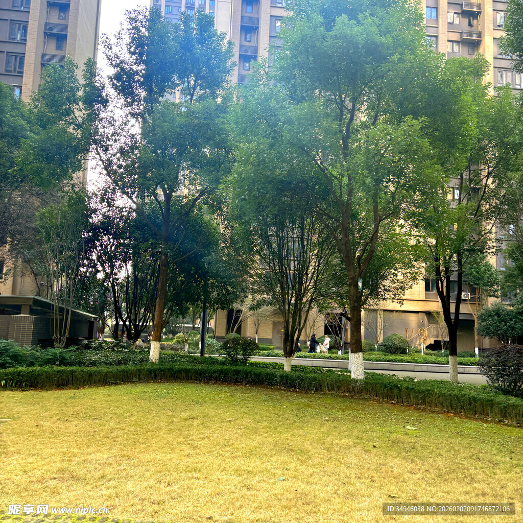 小区内的绿化草坪景观