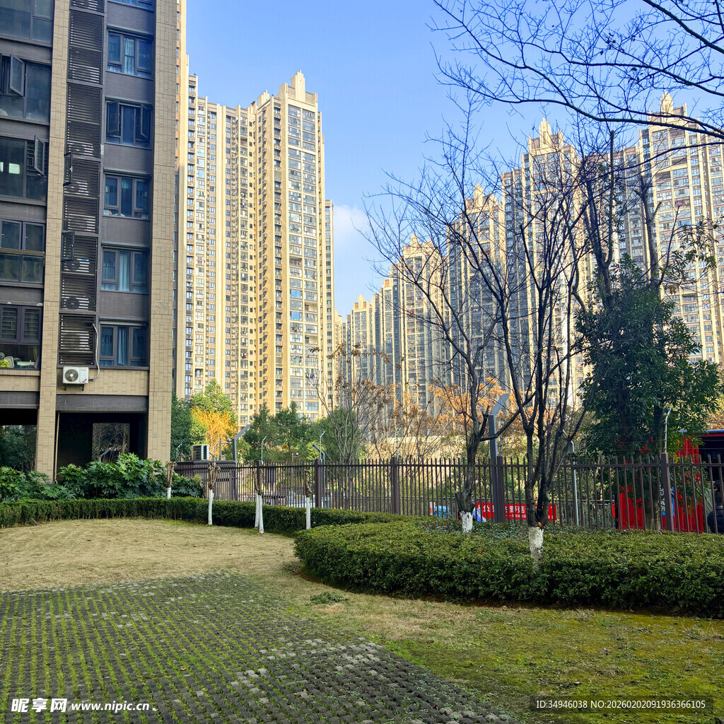 城市住宅区的绿地景观