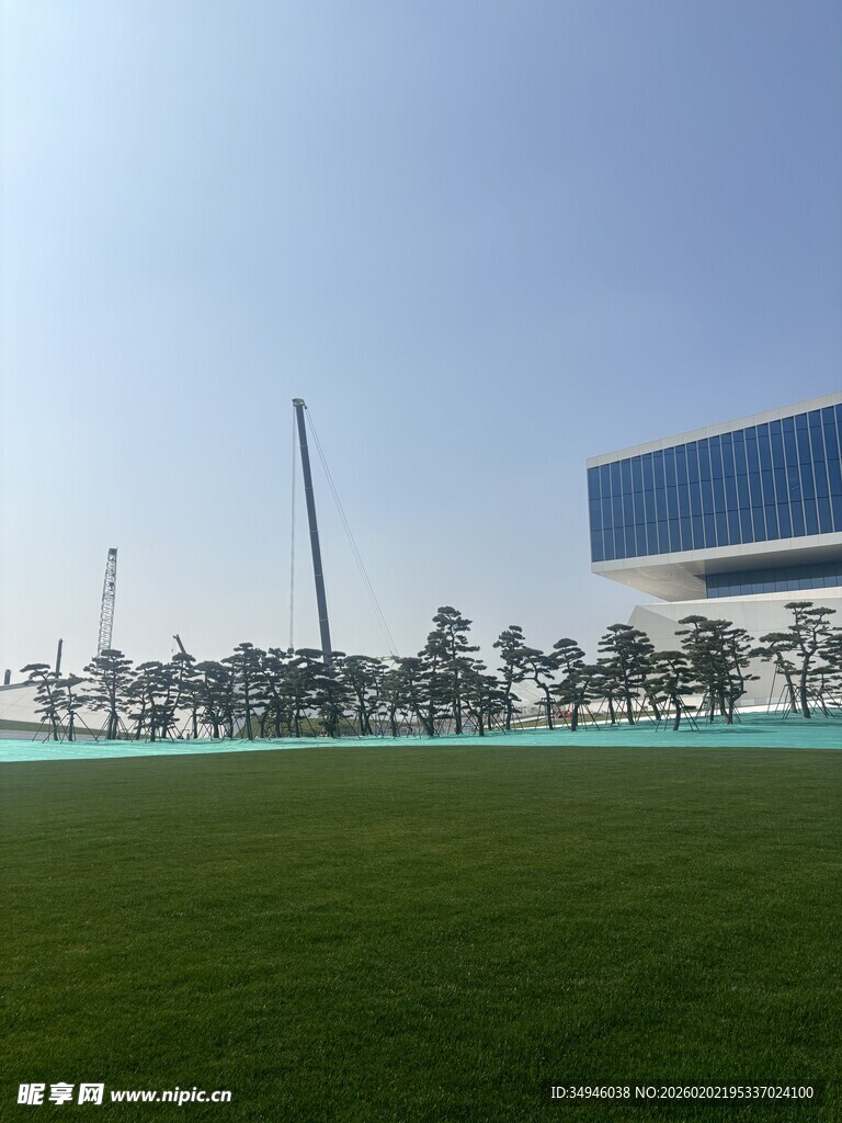 绿茵场地与现代建筑景观