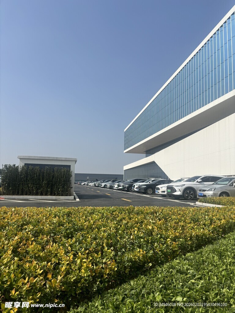 现代建筑旁的绿植与车辆