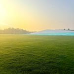 清晨阳光下的广袤绿草地