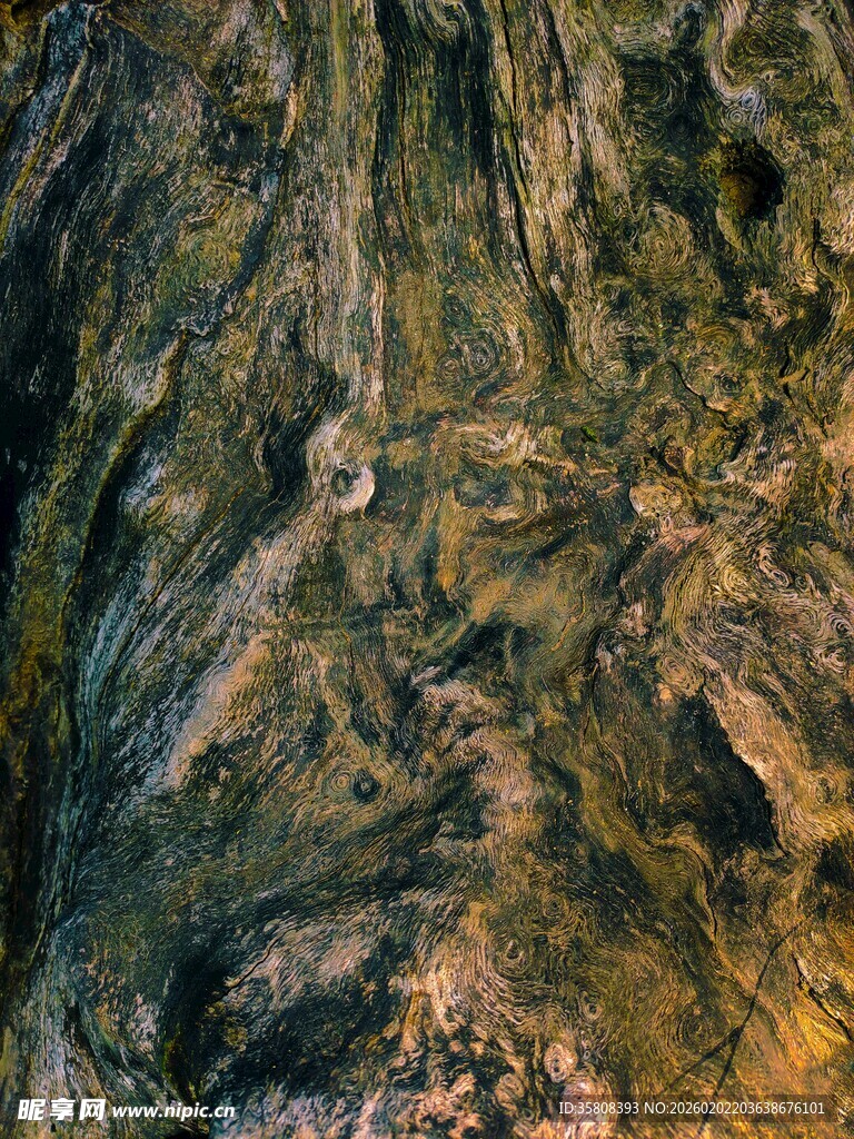 树皮纹理
