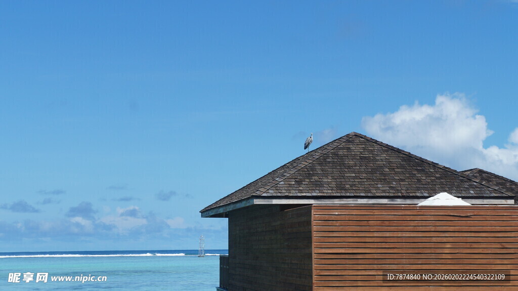 海边木屋 尽享静谧时光