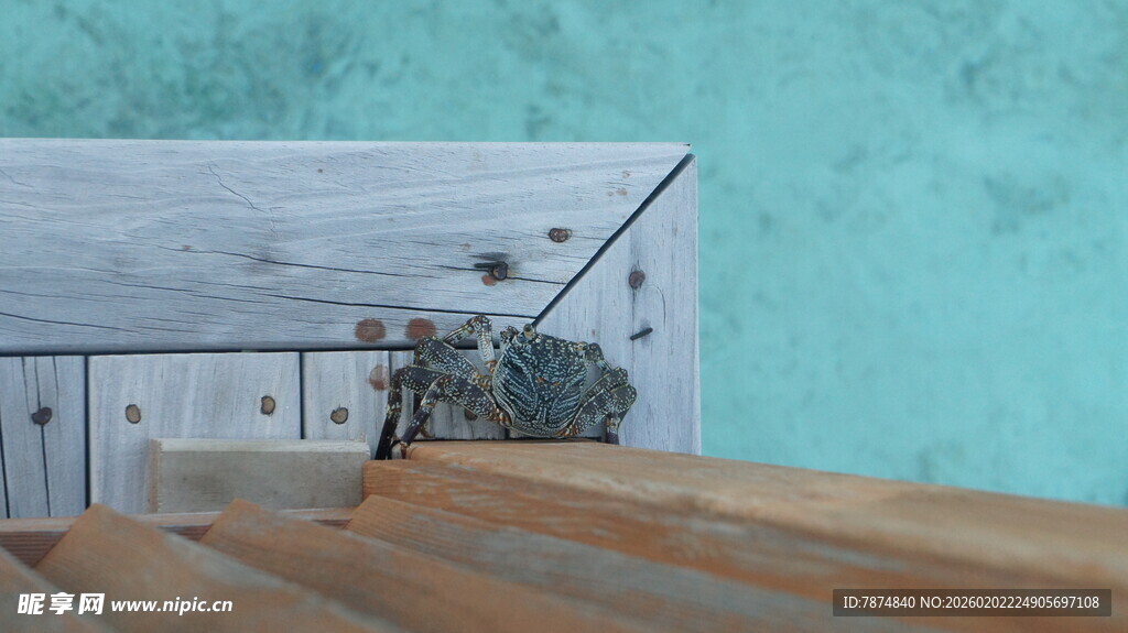 简约室内一角与木质地板