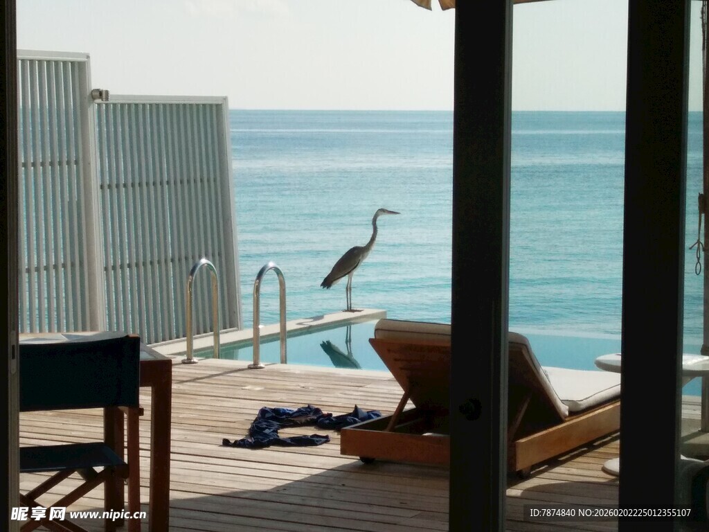 海边露台的悠闲时光