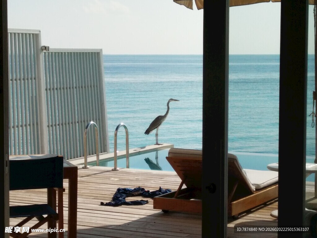 海滨露台躺椅与休憩飞鸟