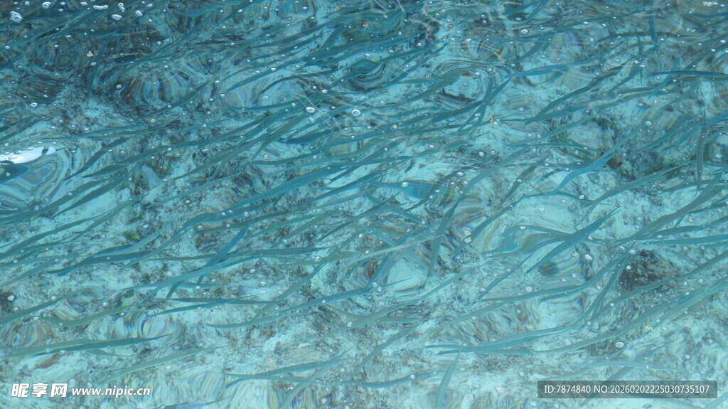 清澈水底纹理画面