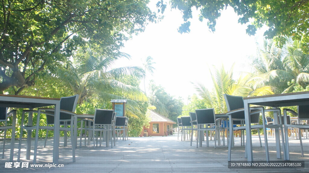 户外林荫下的桌椅场景
