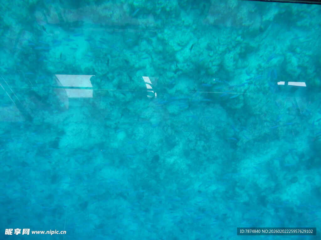 清澈蓝水下的海底景象