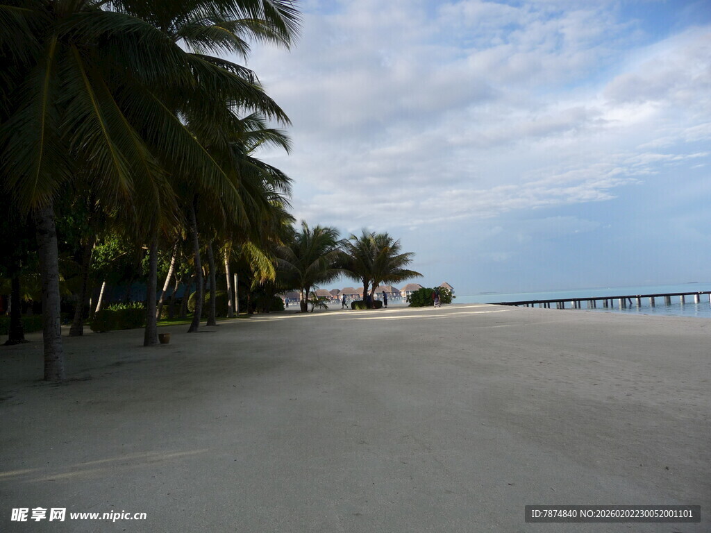 沙滩椰林旁的海边美景