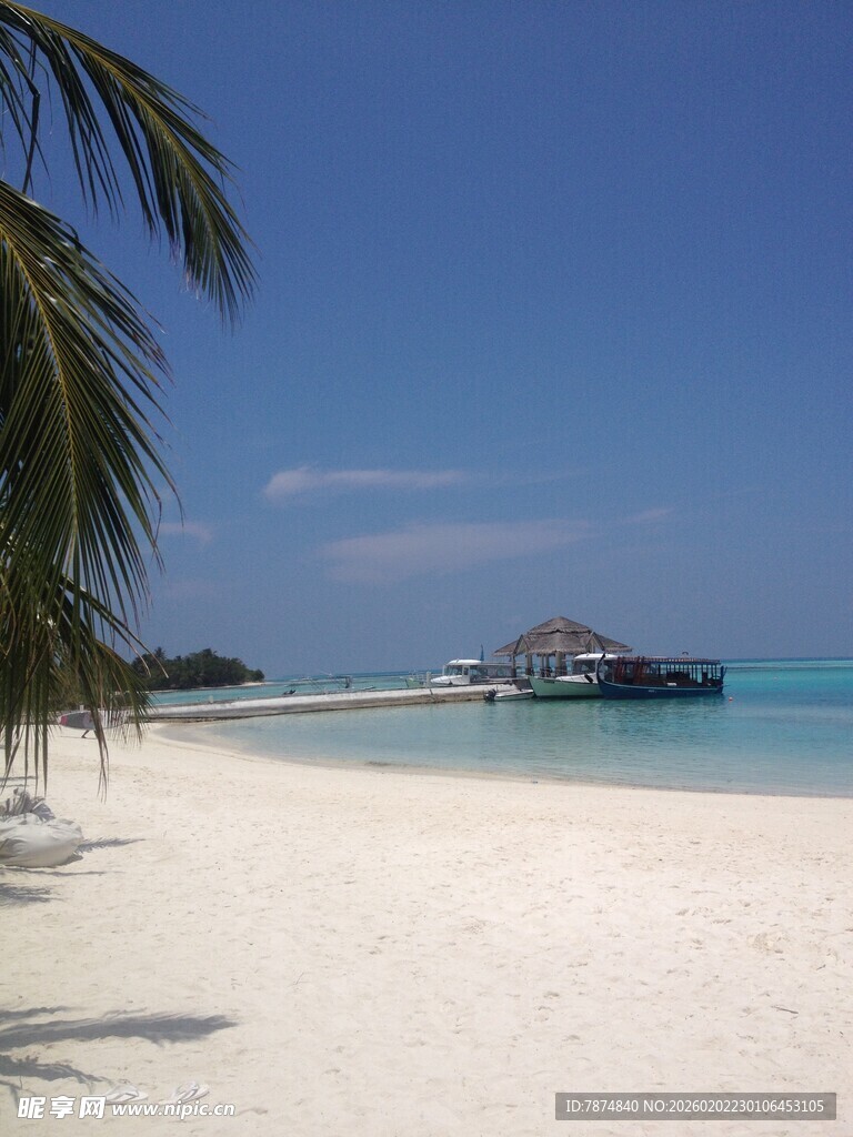 美丽的热带海滩风光