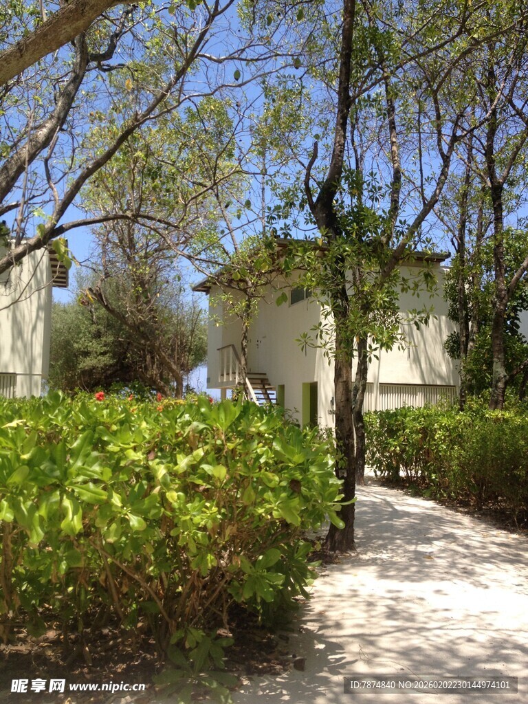 庭院绿植环绕的幽静小径