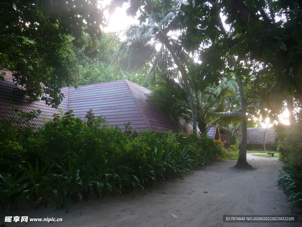 林间小道 阳光洒落静谧处