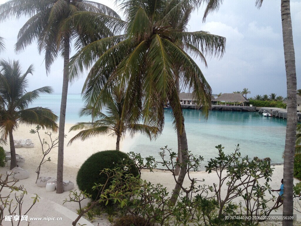 热带海滩椰树美景