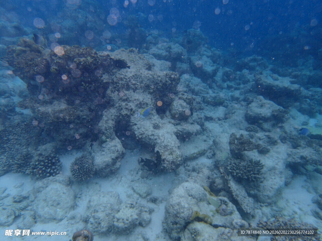 海底神秘残骸景观