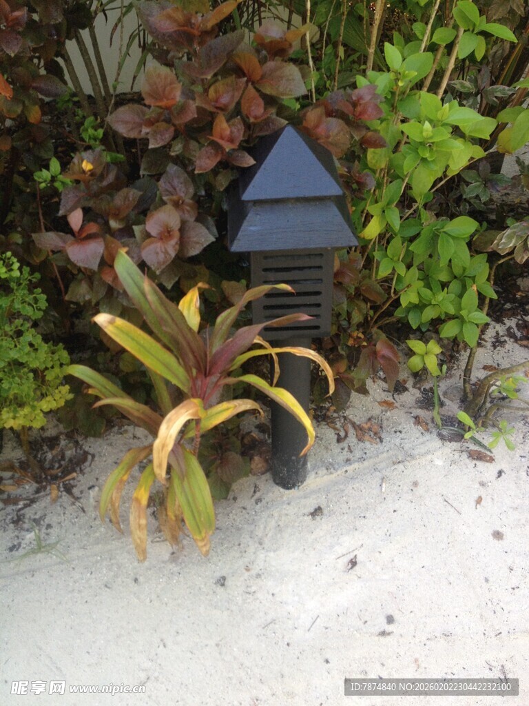 花园中的别致太阳能小灯