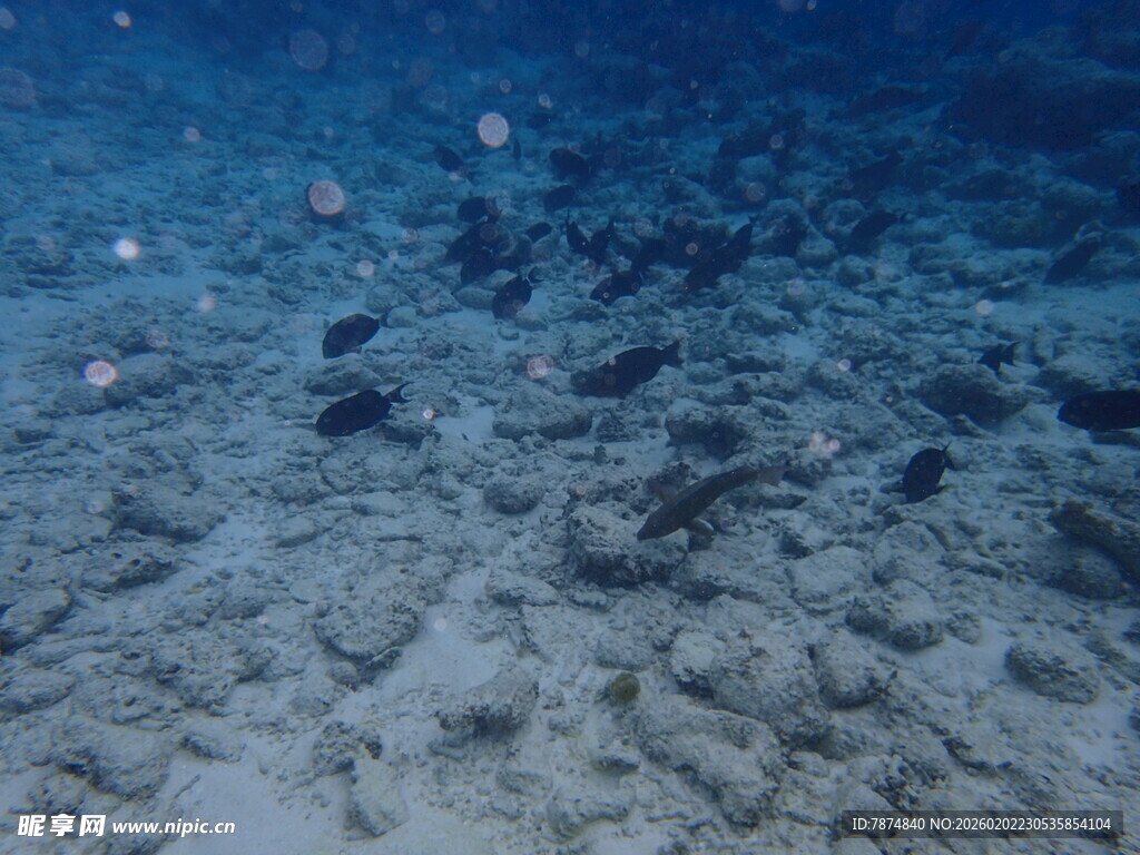 马尔代夫海底沙景与漂浮物