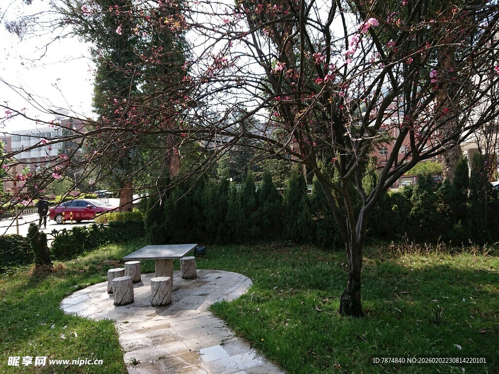春日公园小径与繁花树木