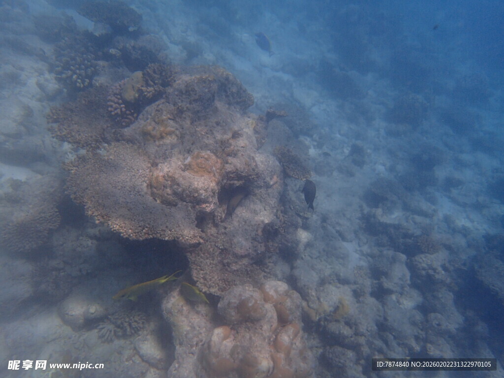 马尔代夫海底神秘礁石景观