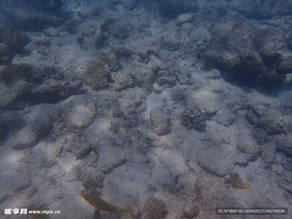 马尔代夫海底岩石景观