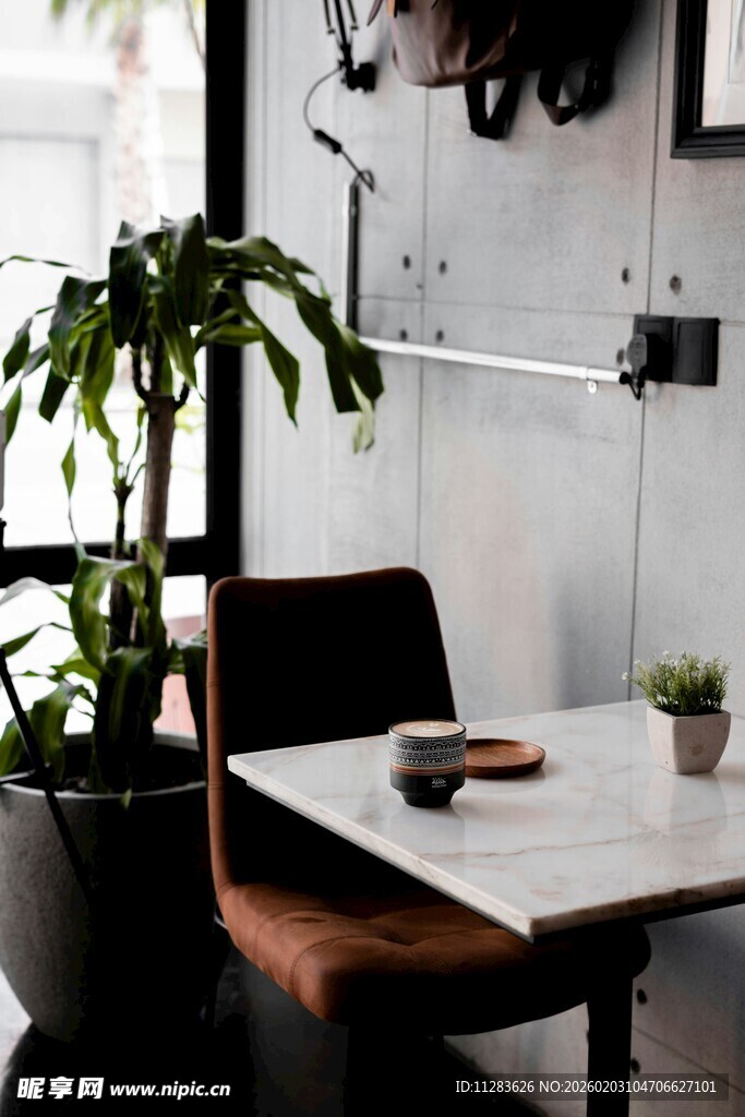 简约室内桌椅绿植布置