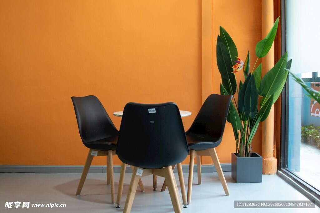 简约室内桌椅绿植组合