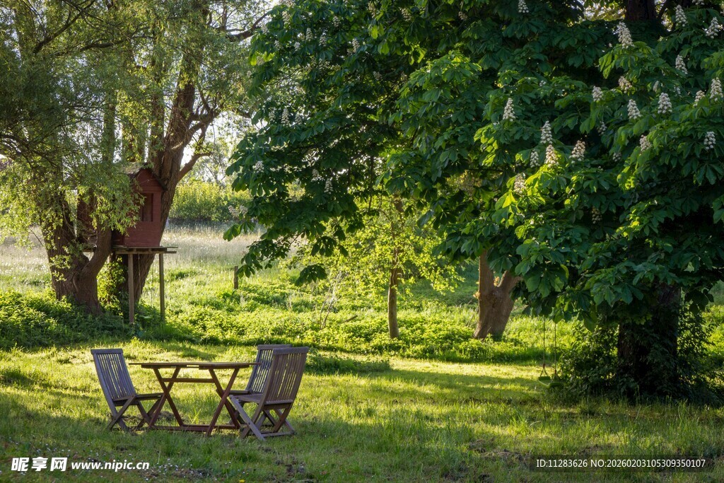 林间草地的休闲桌椅