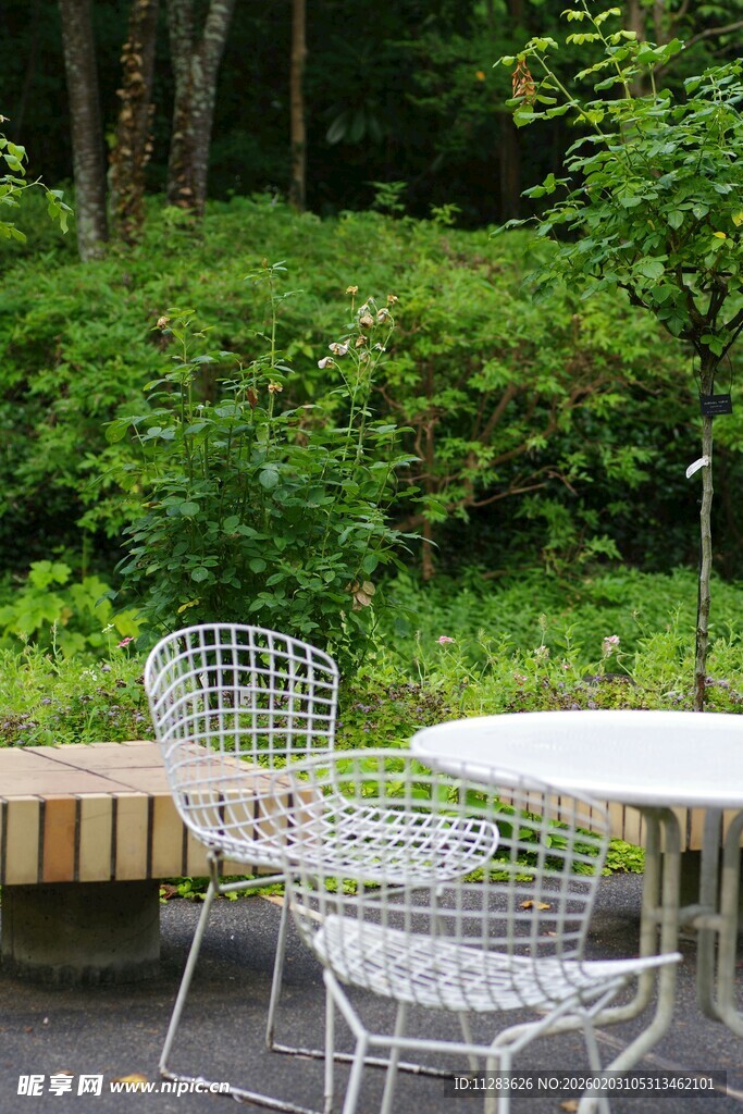 户外花园铁艺桌椅景观