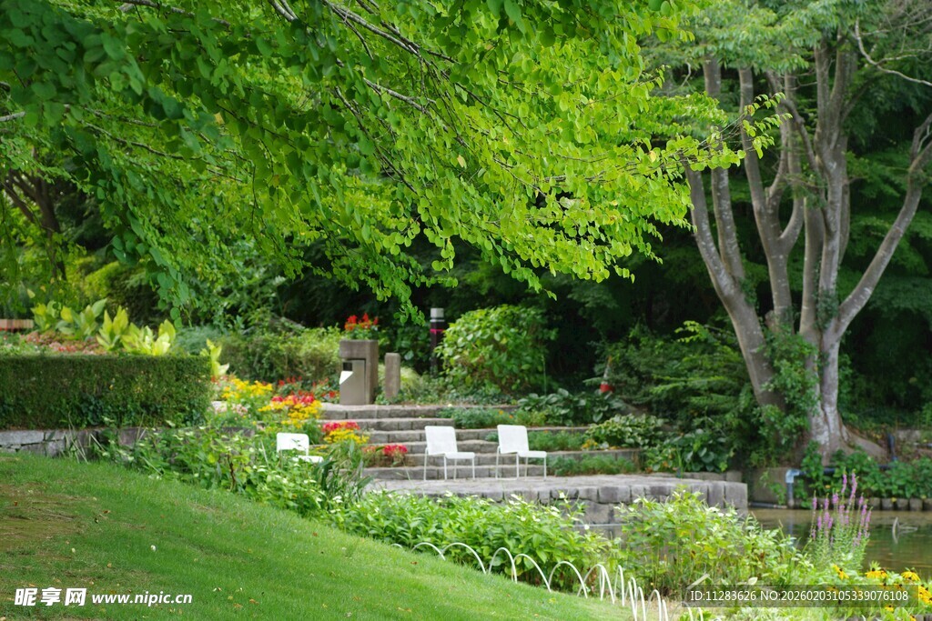 静谧绿意盎然的花园景致