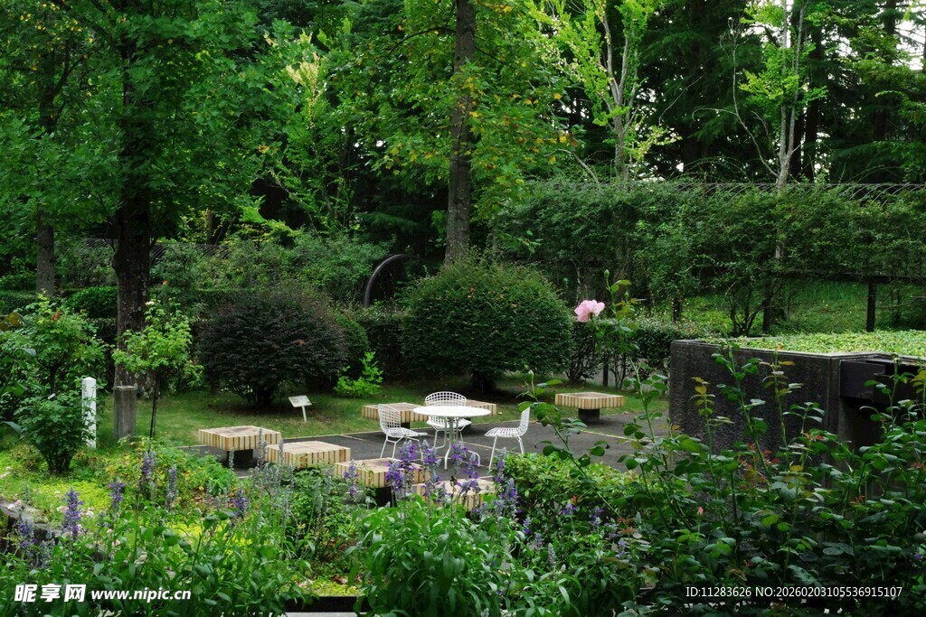 静谧绿意盎然的园林景观