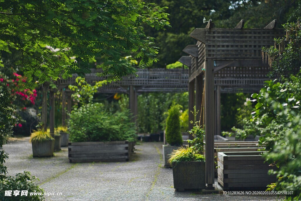 庭院绿植景观设计