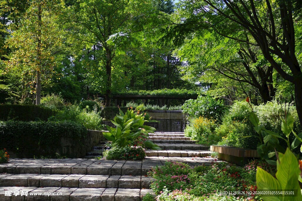 绿意盎然的花园石阶小径