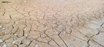 干裂土地