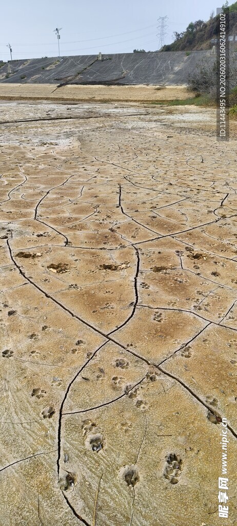 田野灌溉系统俯瞰图