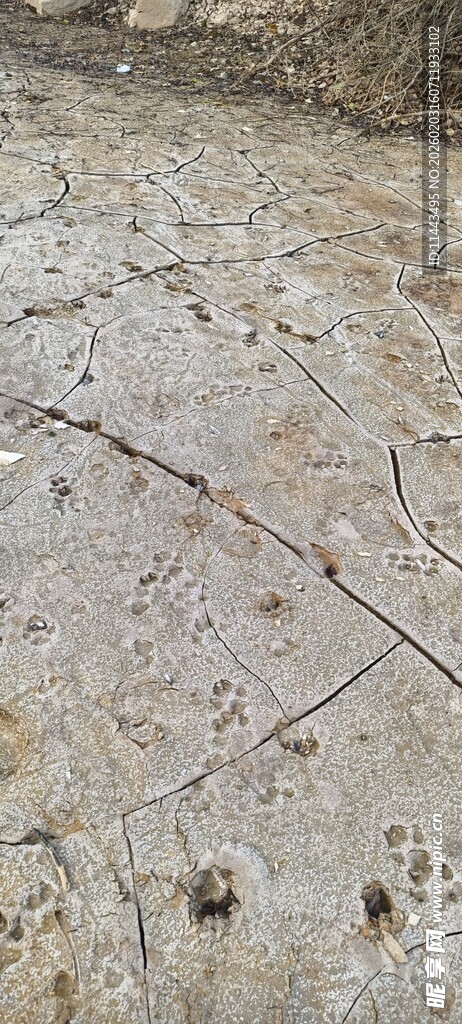 墙面裂缝细节特写