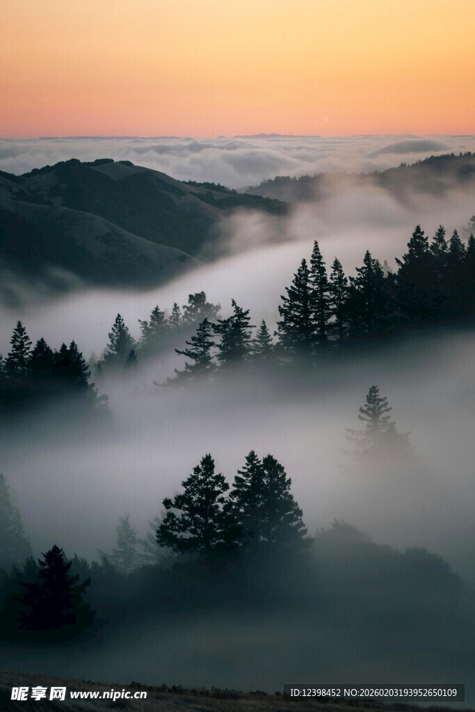 山间晨雾中的森林美景