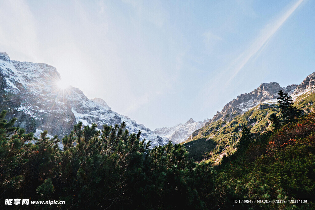 壮丽山景与葱郁森林