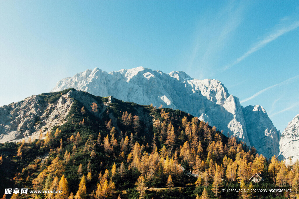 秋日雪山下的斑斓山林