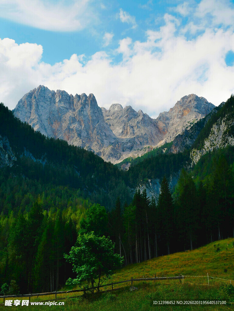 壮丽山峦与葱郁森林景观