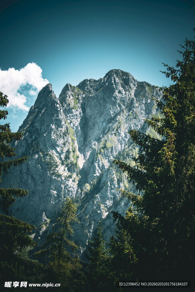 巍峨山峰与葱郁林木景观