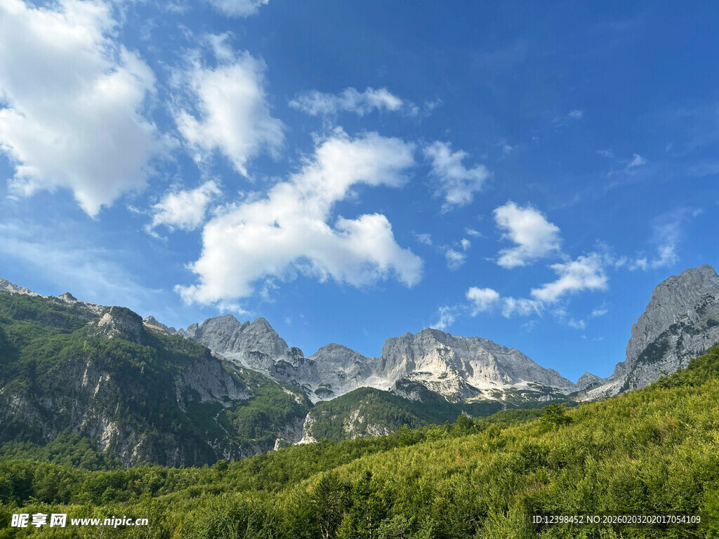 壮丽山景与葱郁森林