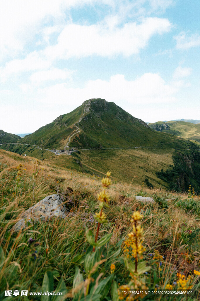 山间野花与葱郁山丘