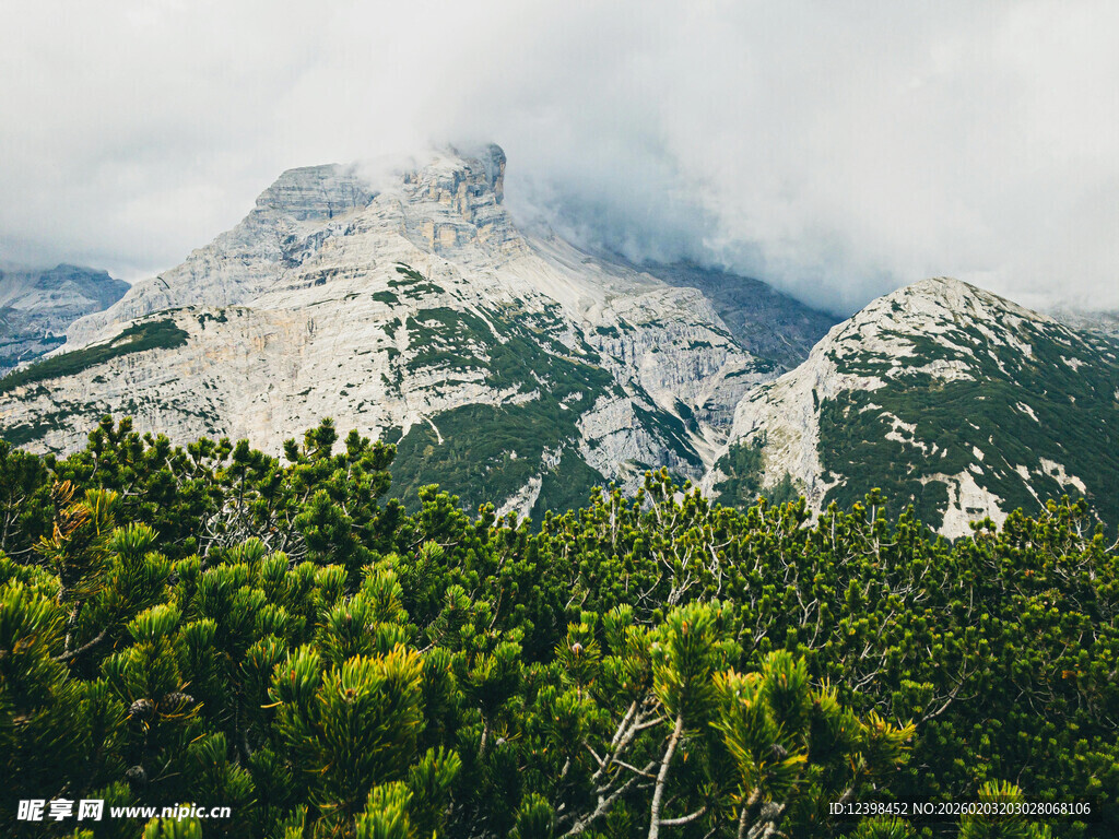 云雾缭绕的山林与山峰