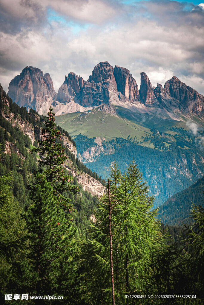 壮丽山景与葱郁森林