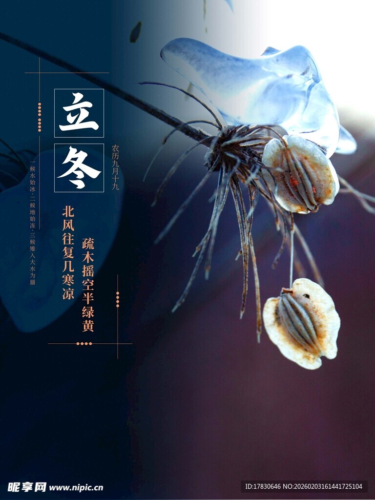 立冬海报
