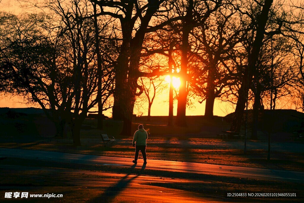 夕阳下的一人漫步林间
